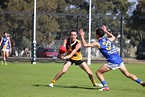 Lachlan Young - Aussie Rules Draft Central