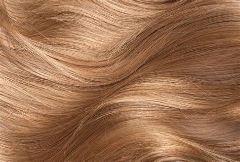 Hair Texture Stock Photos Pictures And Royalty Free Images Istock