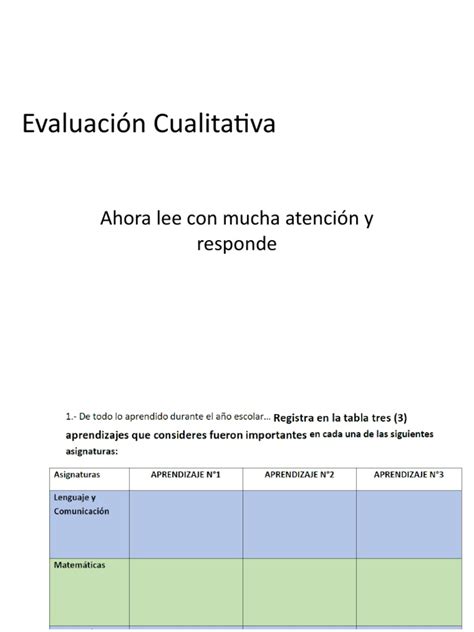 Evaluación Cualitativa Pdf