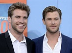 Liam, Chris Hemsworth Looking To Co-Star In 'Big Action-Comedy' Movie ...