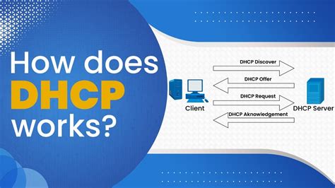 Dhcp Explained A Step By Step Guide Dhcp Configuration In Cisco