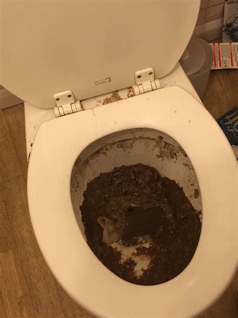 Poop On Toilet Seat