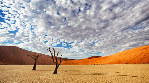 The Best Time To Visit Namibia Natural World Safaris