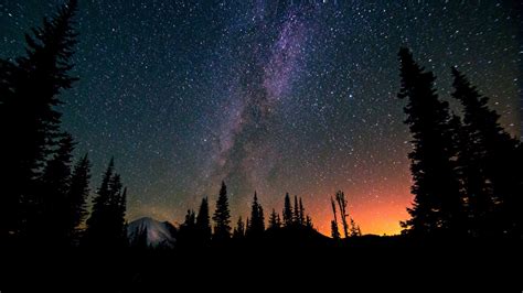 Fond Décran Des Arbres Paysage Forêt Montagnes Nuit Galaxie La