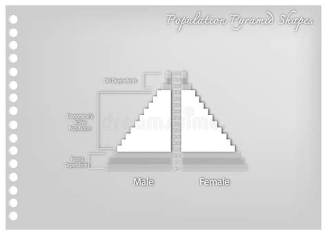 Detail Of Population Pyramids Graphs Depend On Age Stock Vector Illustration Of Expanding