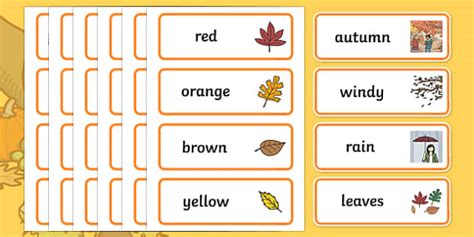 👉 Autumn Words Vocabulary Cards Seasons Primary Resources