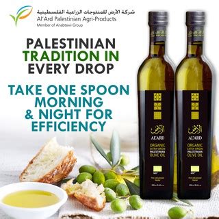 Berikut ini adalah sederet khasiat minyak zaitun bagi kesehatan dan kecantikan yang perlu diketahui. Al`Ard Organic Extra Virgin Olive Oil (Minyak Zaitun ...