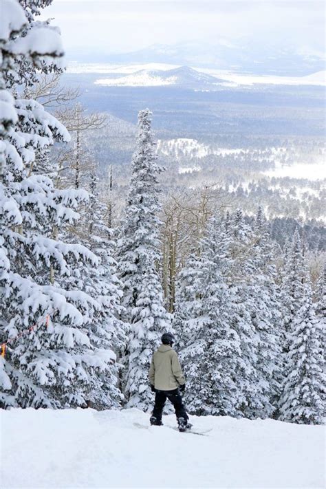 Best Winter Hikes In Flagstaff Tawny Scoggins