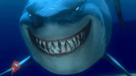 Nemo Shark Gifs Find Share On Giphy