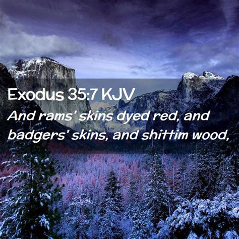 Exodus 357 Kjv And Rams Skins Dyed Red And Badgers Skins And