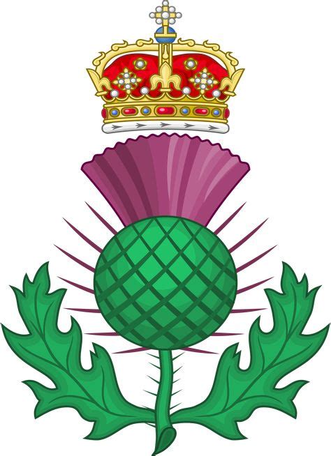 2000px Thistleroyalbadgeofscotlandsvgpng 2000×2760