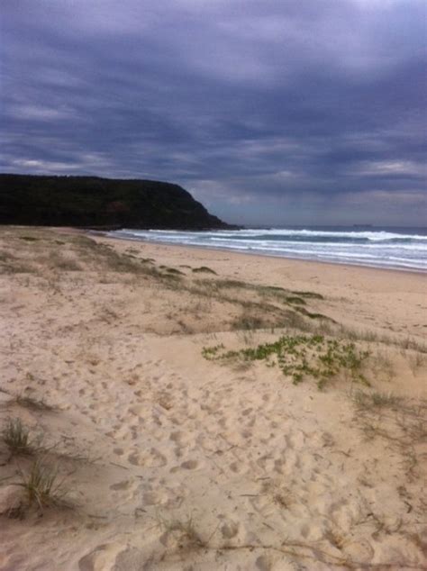 Birdie Beach Beach In Freemans Wyong Nsw Sls Beachsafe