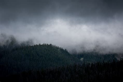 Free Images Tree Nature Forest Mountain Cloud Sky Fog Mist