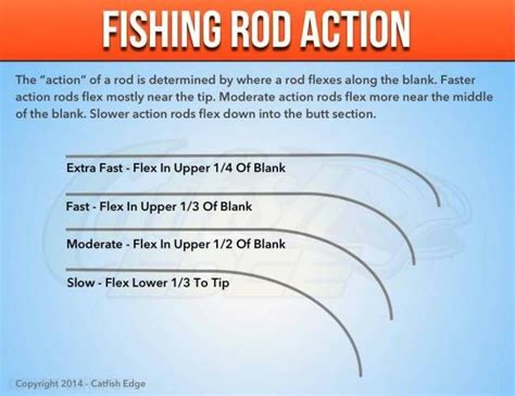 Catfish Rods The Ultimate Guide To Catfish Rods Catfish Rods