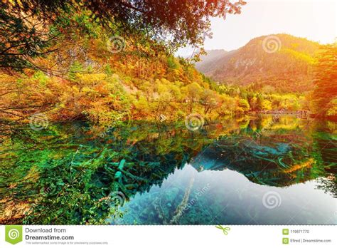 Wonderful View Of The Five Flower Lake Among Scenic Fall Woods Stock