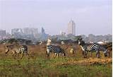 Photos of Nairobi National Park Safari Tour
