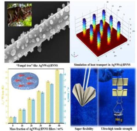 Multifunctional Thermally Conductive Composite Films Based On Fungal