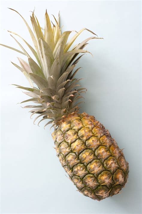 Single Ripe Tropical Pineapple With Leaves 9791 Stockarch Free Stock