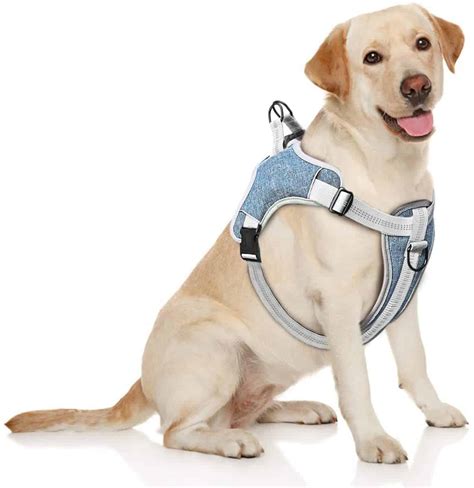 Best Anti Pull Dog Harness Our Top 5 Picks To Stop Your Dog Pulling