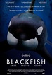 Blackfish - Película 2013 - SensaCine.com
