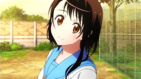 Onodera Kosaki El Teamonodera No Te Olvida Nisekoi