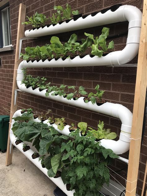 How To Build Flood Drain Hydroponics On Your Own Hydroponic Gardening