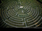 The story behind the rediscovery of the labyrinth | Review