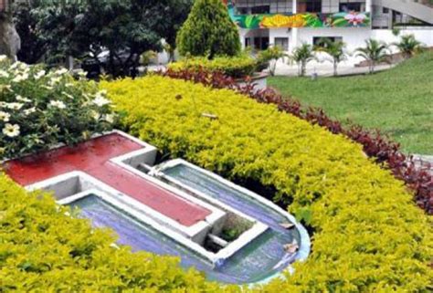 El elenco colombiano se jugó sus últimas fichas en el grupo g del torneo, © proporcionado por semana deportes tolima. Universidad del Tolima tendría seis nuevos programas ...