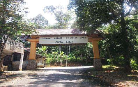 Kami ajak anda mengunjungi 11 air terjun tersembunyi yang bakal bikin liburan anda. Sungai Gabai - Air Terjun yang MENARIK di Hulu Langat