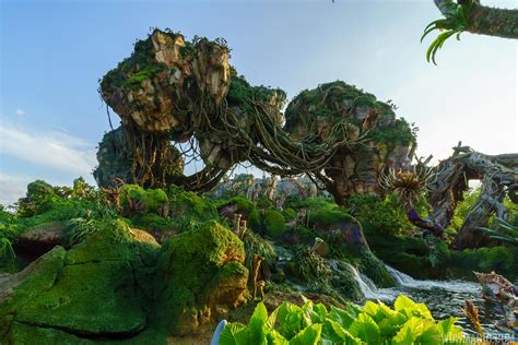 The Landscape Of Pandora The World Of Avatar Photo 22 Of 28