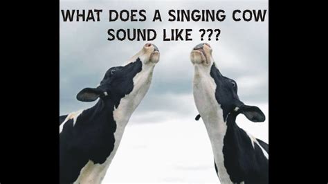 Singing Cow Youtube
