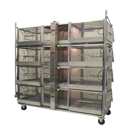 Poultry Super Brooder