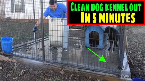 The Best Way To Clean Your Dog Kennel Out In 5 Minutes Youtube