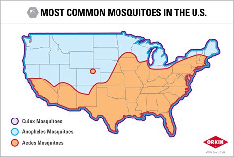 Mosquito Population By State Map Map