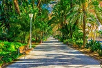 Paseo Del Parque in Malaga, Spain....IMAGE Stock Photo - Image of palms ...