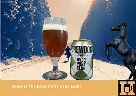 What Is The Dead Pony Club Like Home Bar Kit