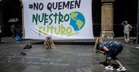 Greenpeace México 28 Años De Sumar Fuerza Colectiva A Favor Del Medio