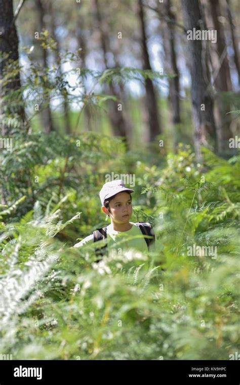 Little Boy Walking Alone In Forest France Stock Photo Alamy