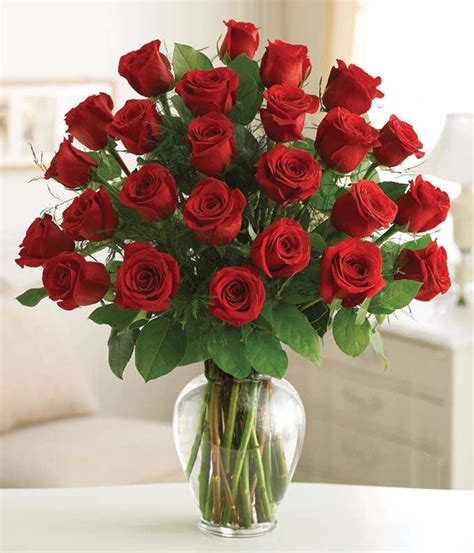 Two Dozen Premium Long Stem Red Roses At From You Flowers