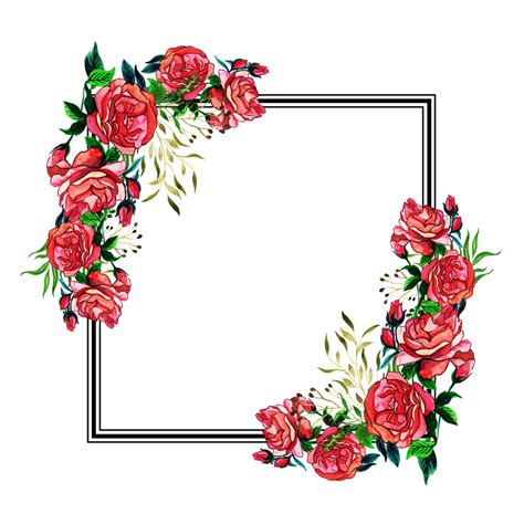 Square Flower Frame Png Pic Png All