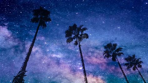 Starry Night Sky With Tree Silhouettes Stock Image Image
