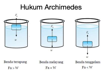 Rumus Penerapan Dan Bunyi Hukum Archimedes My Xxx Hot Girl