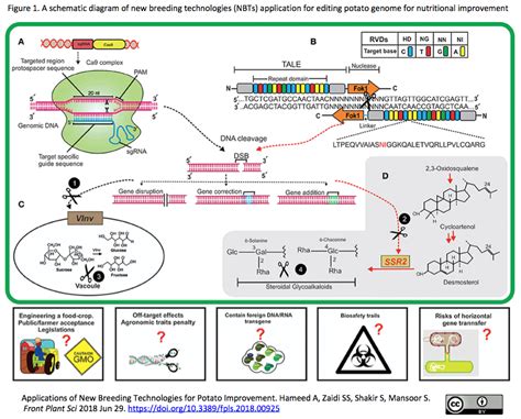 Plant cell tiss organ cult journal. CRISPRメモ_2018_06/30-2 (5件) : crisp_bio
