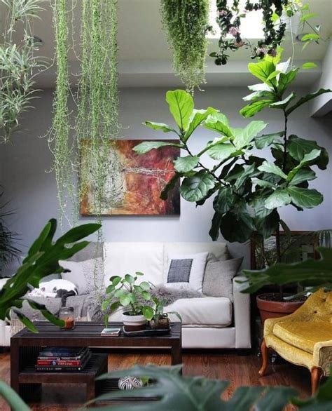 40 Beautiful Indoor Patterned Plants To Create A Lively