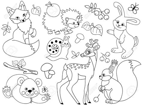 Set Of Black And White Cute Wild Animals In The Forest Fox Deer