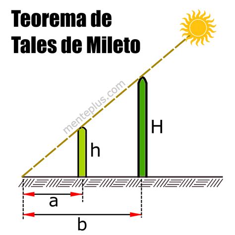 36 Teorema De Tales De Mileto Proporcionalidad The Latest Gami Images