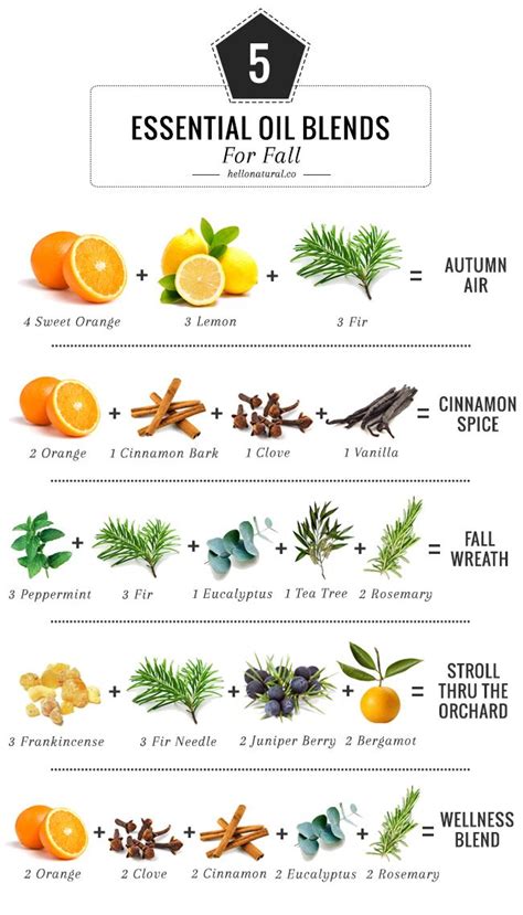 25 Essential Oil Blends To Make Your House Smell Like Fall Potpourri