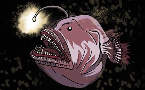 Anglerfish The Predator Fish With A Lure Ocean Info
