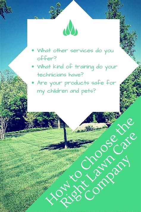 How To Choose The Right Lawn Care Company Best Pick Reports Lawn