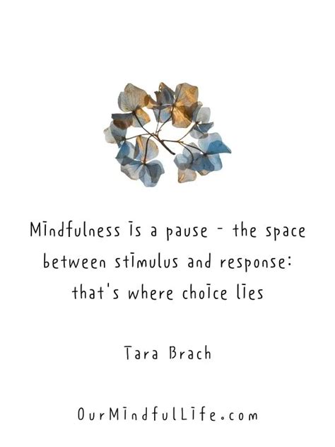59 Mindfulness Quotes For Peace And Resilience Our Mindful Life